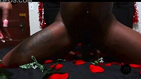 Who wouldn't fuck lola black's sexy ass on valentines?