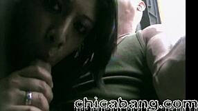 i get my dick sucked by alexis on the bus ride to mexico city