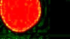 First-Time Pinay Escort Rides Client for Ultimate Thrill