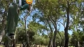 girls pull epic wedgies in this super fun compilation