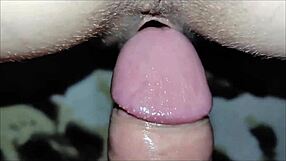 Beautiful Homemade Close-Up Anal Assfucking Lick Compilation Of Cute Milf Couple Pov