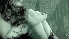 vintage silent films reveal erotic hairy mature beaver secrets