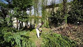 amateur slut hunts hard cocks for outdoor forest handjob sex