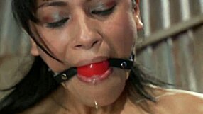 hey master has me hogtied gagged and choking on toys while he fucks rough