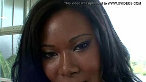 Huge Ebony Natural Tits Bursting from Bikini with Rock Hard Nipples