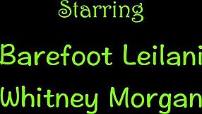 does milf boss force young blonde to lick nylon toes