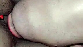 wanna see the hottest anal creampie compilations with squirting orgasms and cuckold pussy fillings?