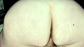 thick white bbw milf spreads big fat ass for huge creampie load inside!