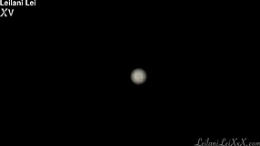 wanna worship this milf's juicy ass in thong while she shakes it for you?