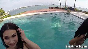 Spring break sluts party with friends in hardcore pov foursome