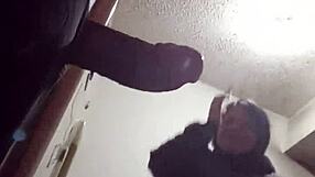 Big Ass Latina Chupando Padrastro's Polla in Kitchen
