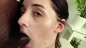 eva tender's first bbc anal gape balls deep no pussy