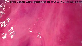 check this amateur pink pussy 269 days post virginity loss