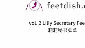 Lilly's Secretary Feet Tease in Feetdish Volume 2 Box