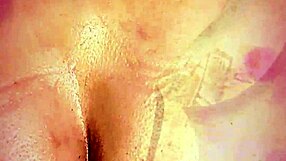 imagine that sexy brazilian sissy shemale pumping her tight ass in fishnets and heels