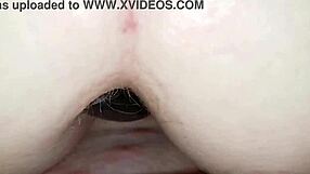 jayq gets doggystyle fucked with analplug by kobold's small cock