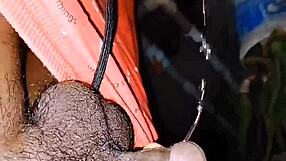 Micro penis sissy desperately pisses everywhere in humiliating taboo spots