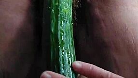 i love how oma fucks her hairy pussy with that cucumber