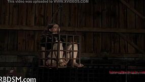 Bound Playgirl Gets Punished Hard In Bondage