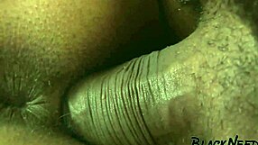 ebony amateur enjoys the doggystyle position