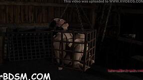 Bound hottie receives hardcore clamps on giant racks