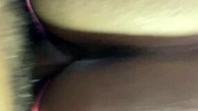 Indian Doggy Style Sex Viral Mms