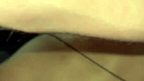 xvideos with no ads and extra exclusive porn videos