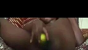 Concombre dans la chatte