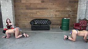 japanese domina chisei dick tug of war